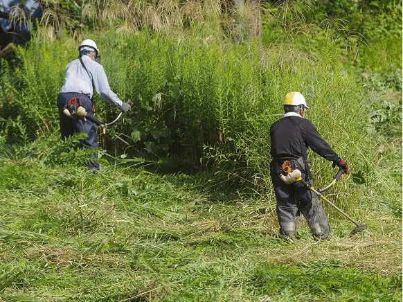 草刈りをしている男性