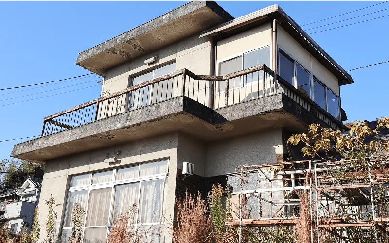 キクラゲが栽培されている様子